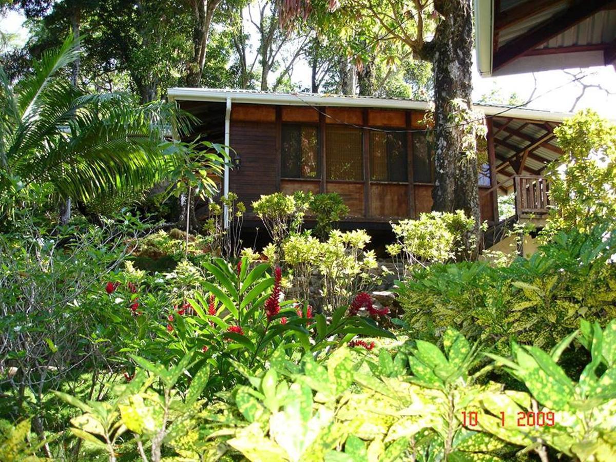 Cabinas La Parcela Villa Dominical Exteriör bild